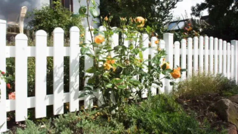 planeo Basic - Clôture jardin 180 x 90 / 101 cm - arche supérieure blanche