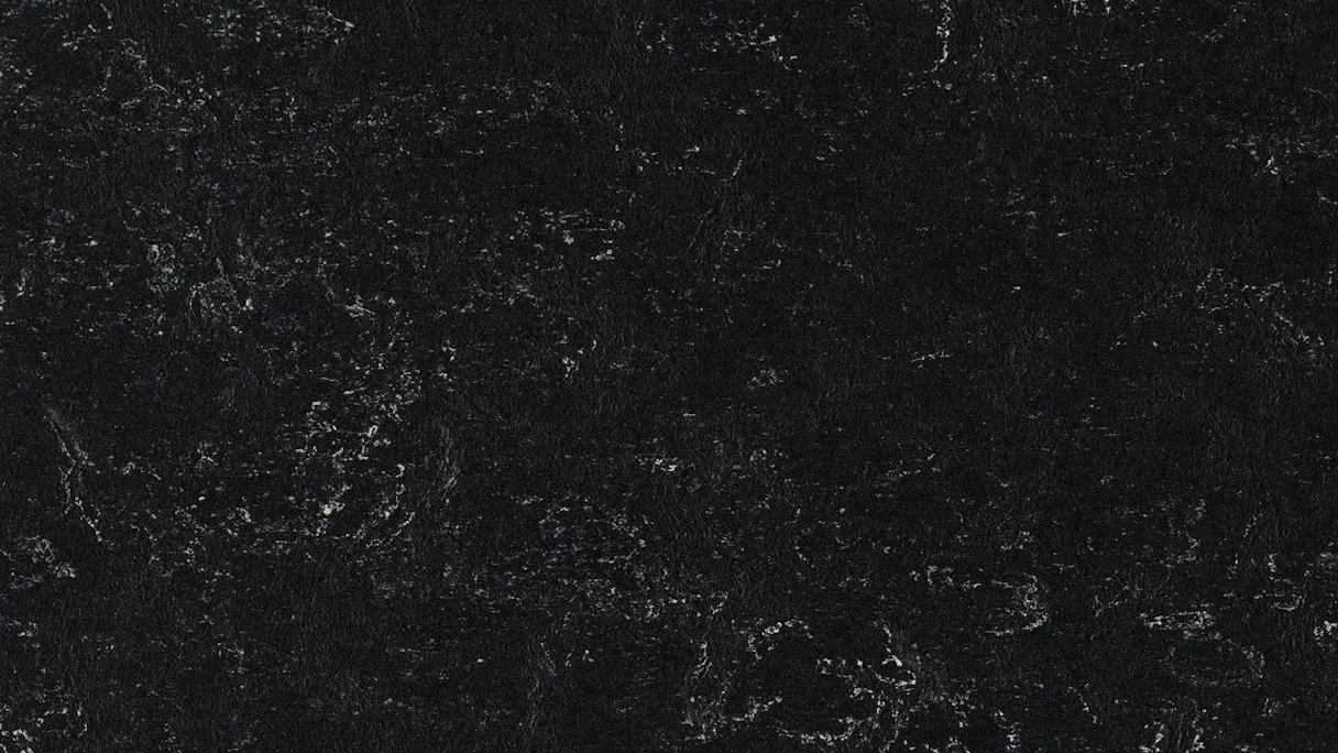 Forbo Linoleum Marmoleum Fresco - noir 2939 2.5