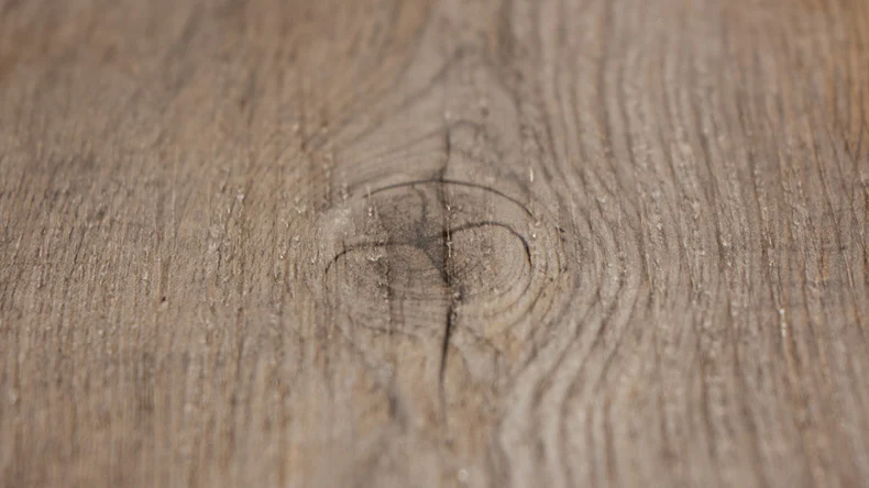 planeo DekoWall - Wandvinyl Calla