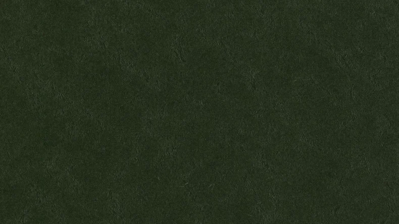 Forbo Linoléum Marmoleum Walton - bottle green 3359