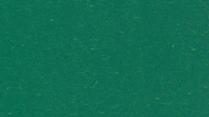 Forbo Linoleum Marmoleum Uni Piano - greenwood 3649-2.5