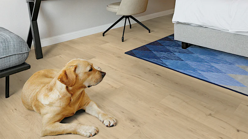 planeo Rigid Klick Vinyl - FlexCore 30 Misty Oak | Trittschalldämmung integr. (plfc-5023FS30)