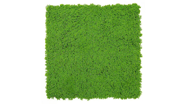 planeo Akustikpaneel - MixWall Moss Mood Lime Green 52 x 52 cm | Kunst-Moos (PLMW-30211C)