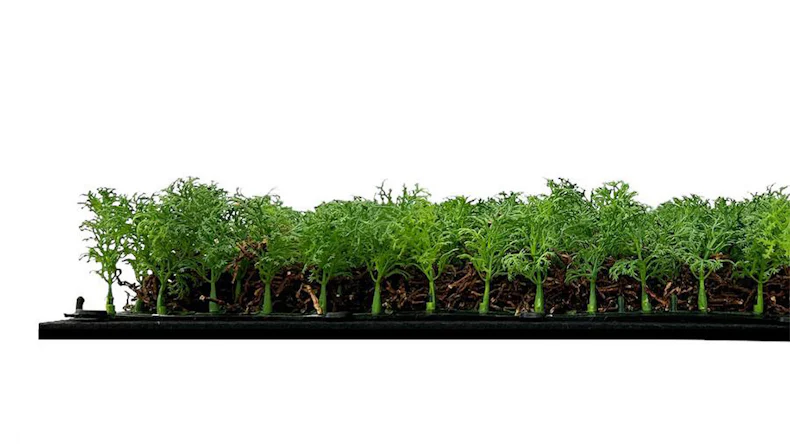 planeo Panneau acoustique - MixWall Living Leaf Thuja Tea Tree 52 x 52 cm | Plante naturelle (PLMW-50111)