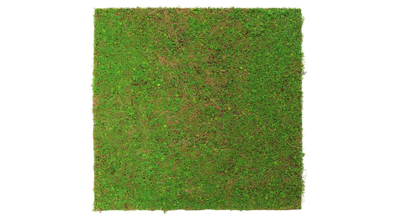 planeo Panneau acoustique - MixWall Living Leaf Light Green Coconut 52 x 52 cm | Plante naturelle (PLMW-60111)