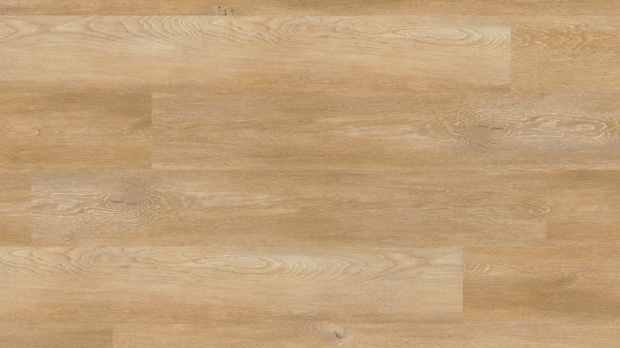 Project Floors Vinyle à coller - floors@work55 PW 1250/55 (PW125055)