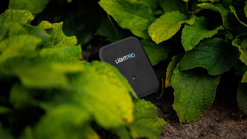 planeo Gartenbeleuchtung Switch Smart WiFi schwarz