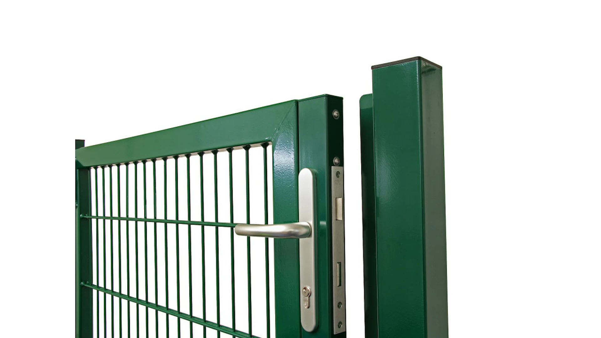 Porte universelle lourde 1 vantail vert mousse H 800 x L 1575 mm poteaux de porte inclus