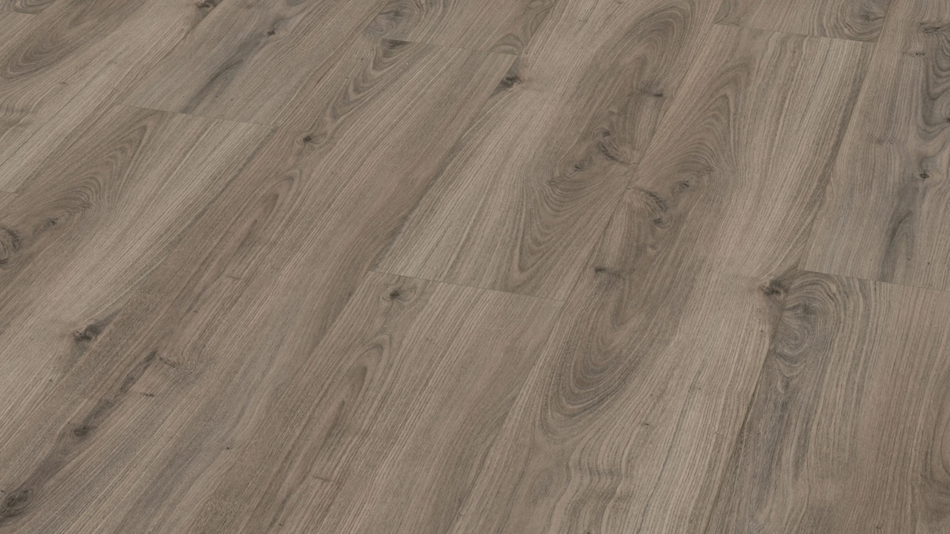 Wineo pavimento organico - PURLINE 1500 wood XL Royal Chestnut Grey (PL084C)